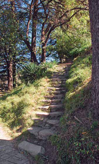 Garden staircase in the park, laid out in stone.